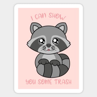 I can show some trash, cute raccoon. Magnet